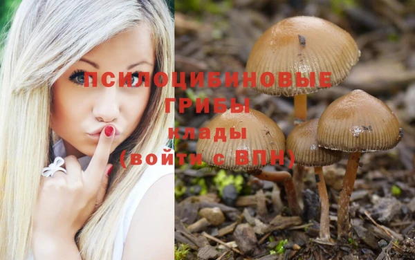 мяу мяу мука Бронницы