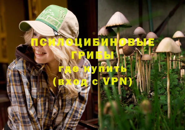 синтетический гашиш Рославль