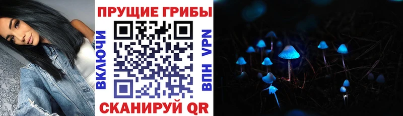 Псилоцибиновые грибы MAGIC MUSHROOMS  хочу   Ессентукская 
